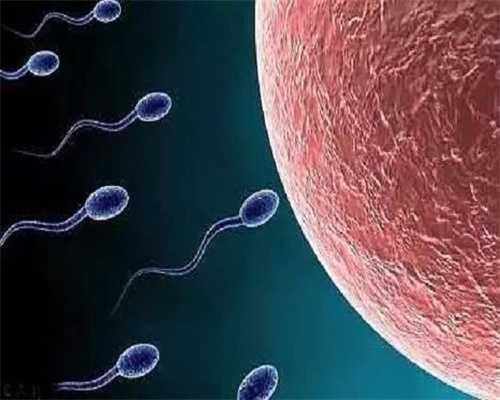 贵州哪家医院做借卵试管最好？附借卵医院排名！