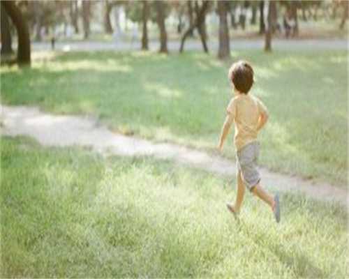 2026河南借卵*子**试管价格详情附权威私立借卵机构最新排名一览